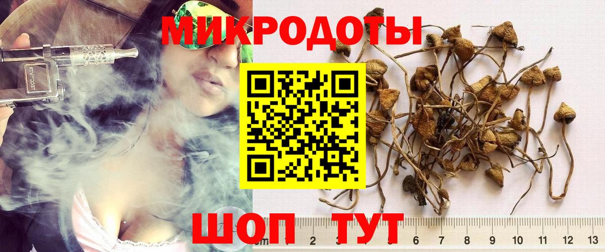 Псилоцибиновые грибы GOLDEN TEACHER  Вход с VPN  Волхов 